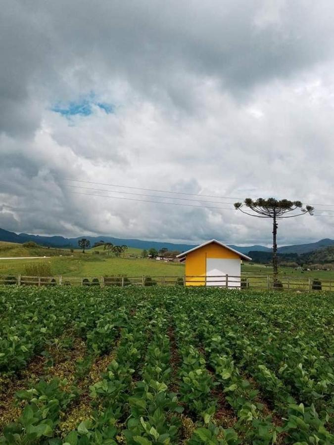 Cabana Caminho Das Borboletas Bom Retiro  Esterno foto