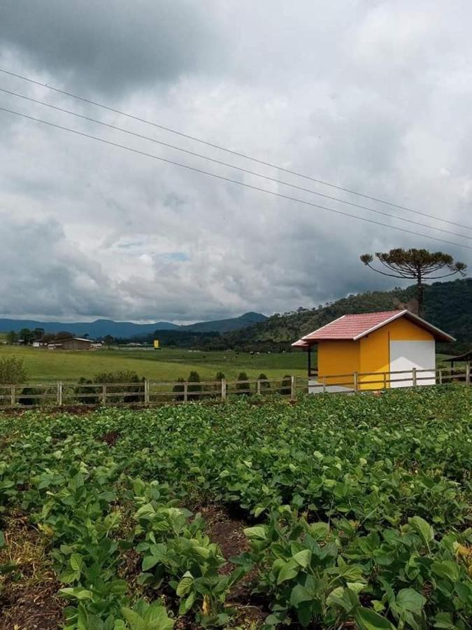 Cabana Caminho Das Borboletas Bom Retiro  Esterno foto
